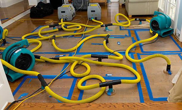 Professional Burst Pipe Water Damage technician working in Rockville, UT